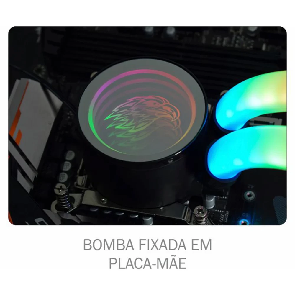 Imagem do produto 10